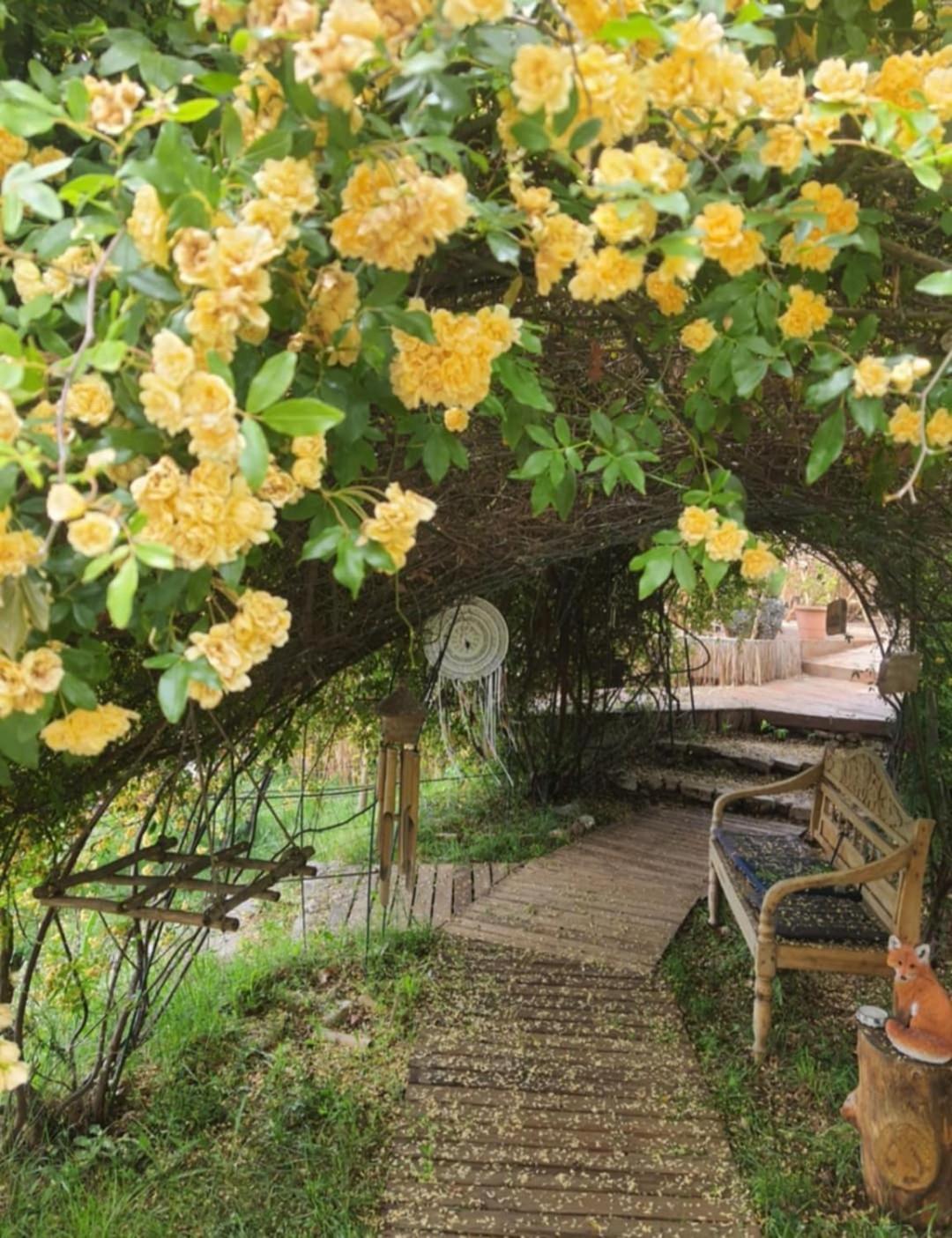 La Lyalis Bed & Breakfast Aiguines Eksteriør bilde